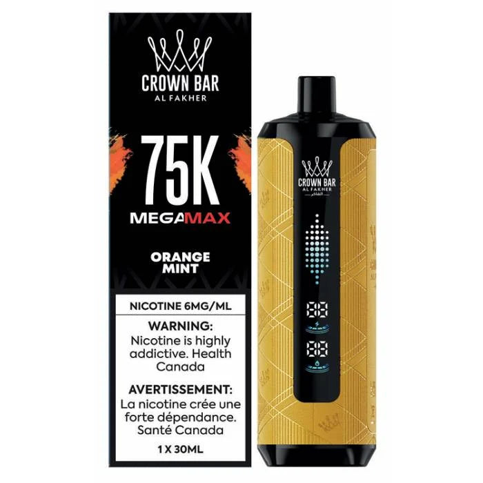 Al Fakher Mega Max 75K Orange Mint
