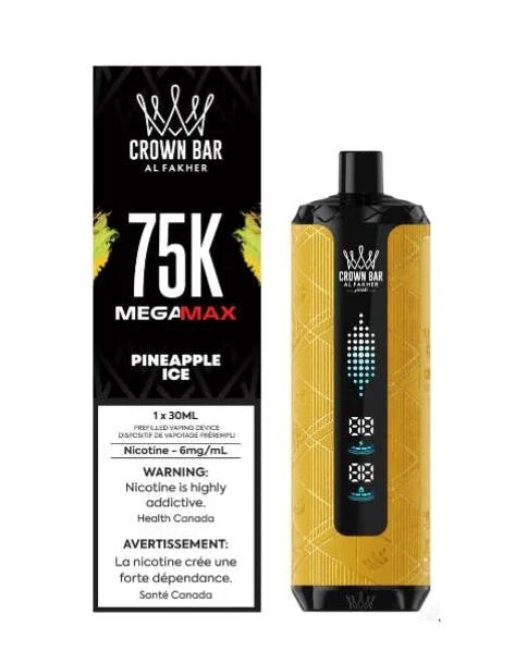 Al Fakher Mega Max 75K Ananas Glacé