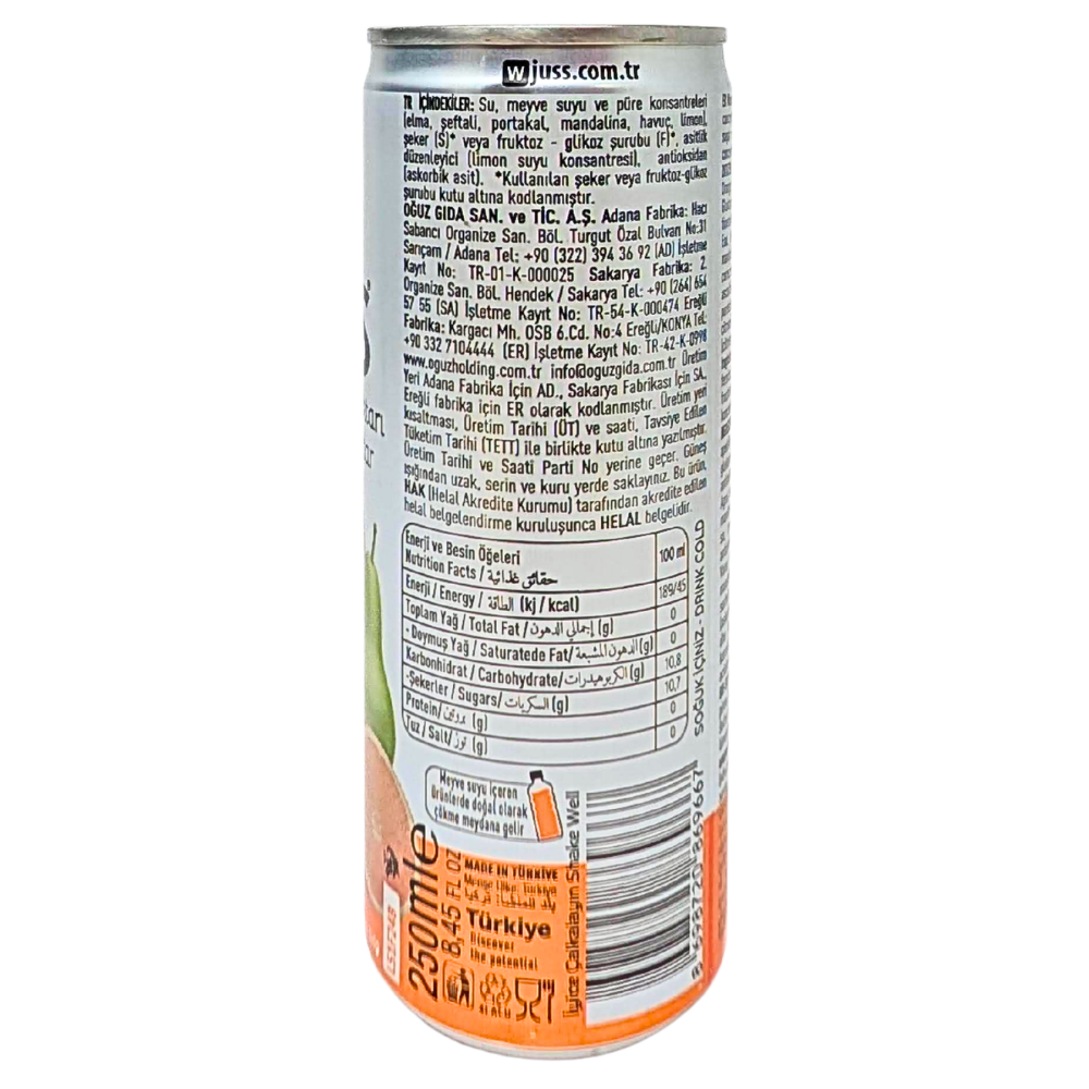 Juss Mixed Fruit Drink (Turkey) - 250mL