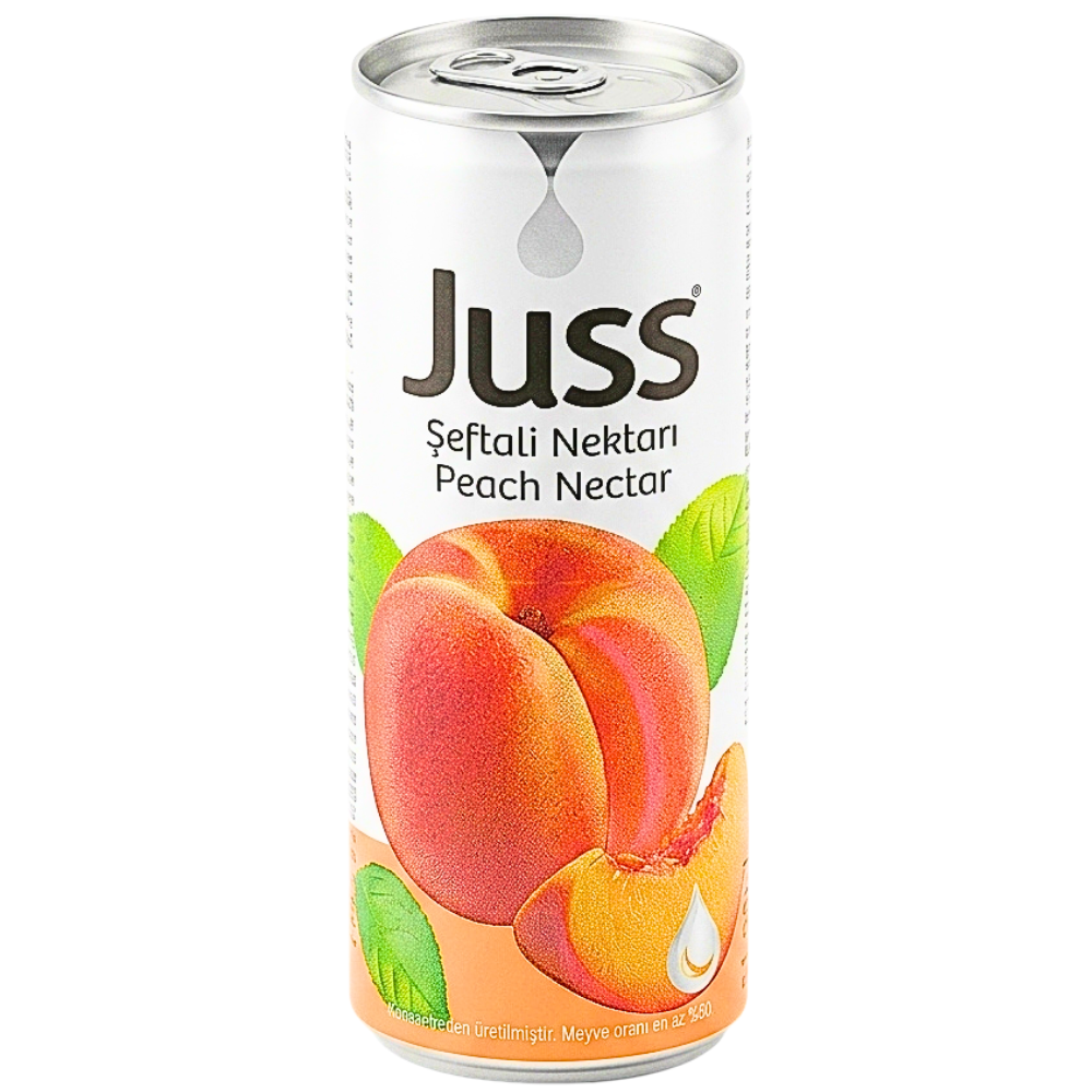 Juss Peach Nectar Drink (Turkey) - 250mL