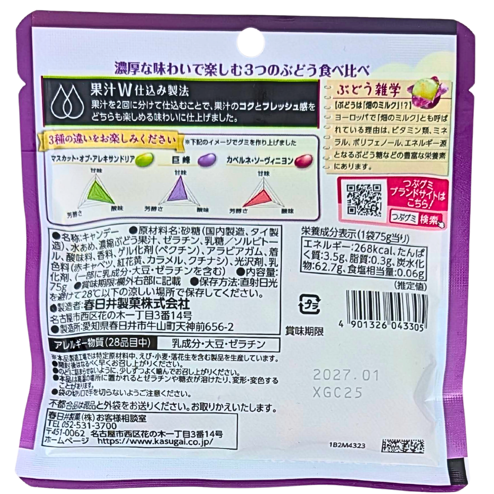 Kasugai Premium Rich Grape Jelly Beans (Japan) - 75g